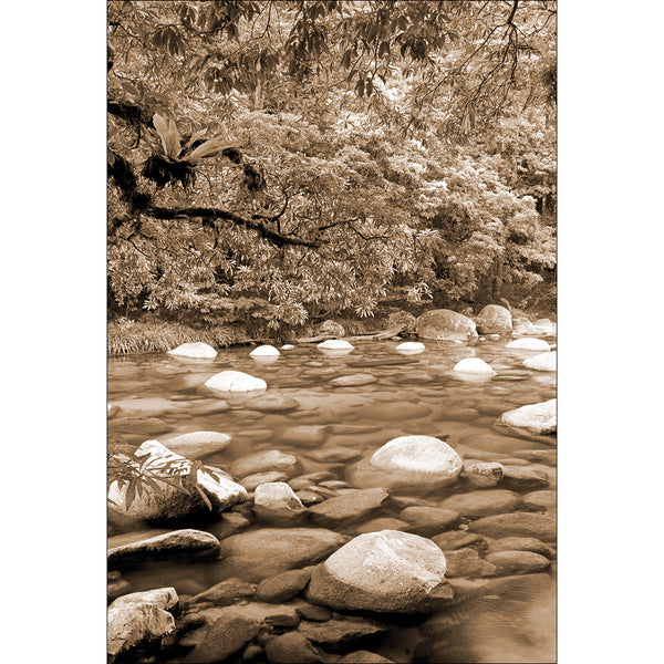 Stones in Still Water, Sepia