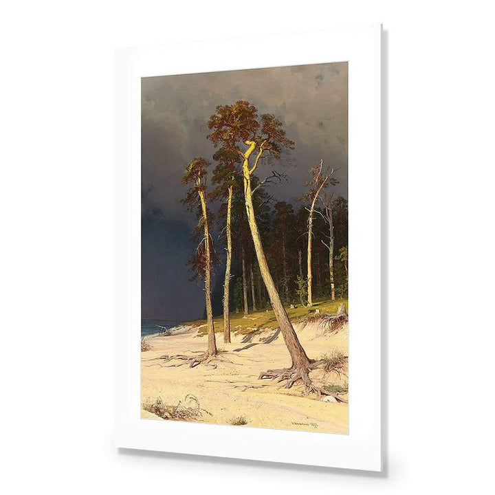 Sandy Coast Pine Trees By Ivan Shishkin Wall Art