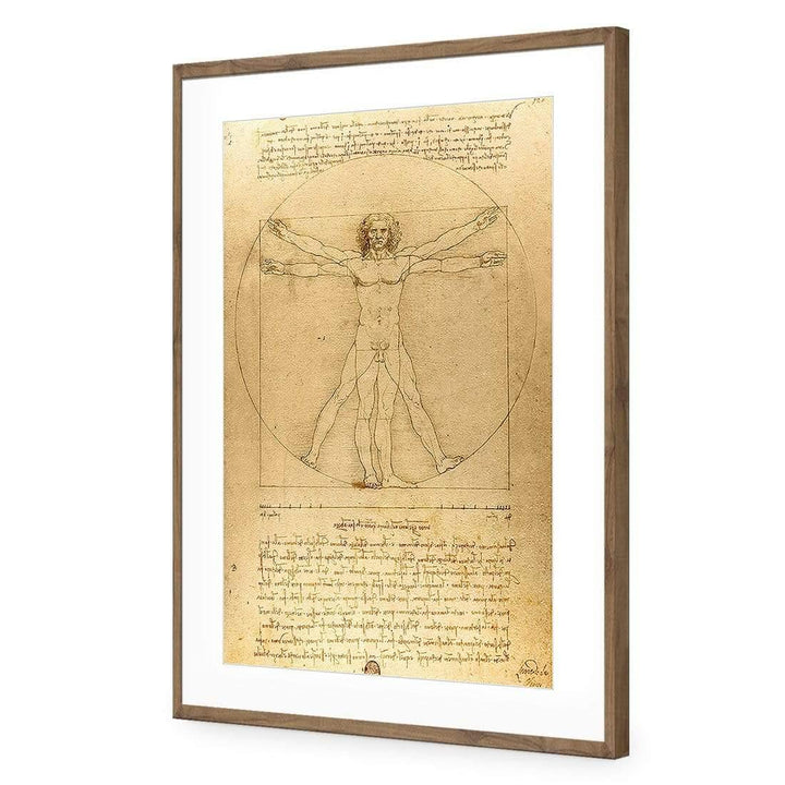 Vitruvian Man By Leonardo Da Vinci Wall Art