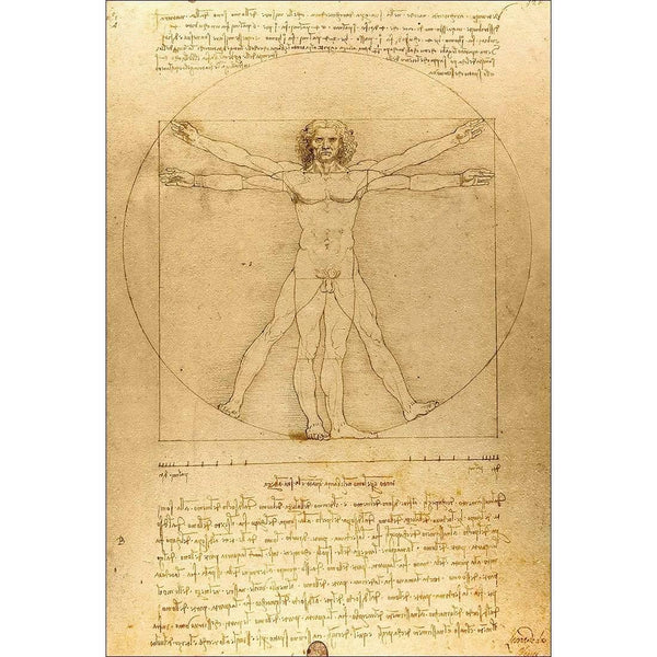 Vitruvian Man By Leonardo Da Vinci Wall Art