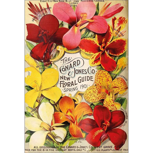 New Floral Guide 1901 Lilies Wall Art