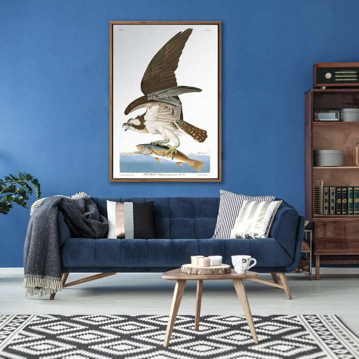 Osprey By John James Audubon Wall Art