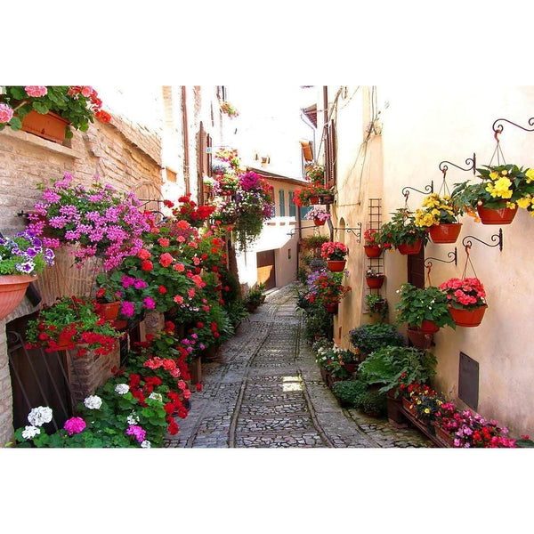 Floral Alley in Italy Wall Art