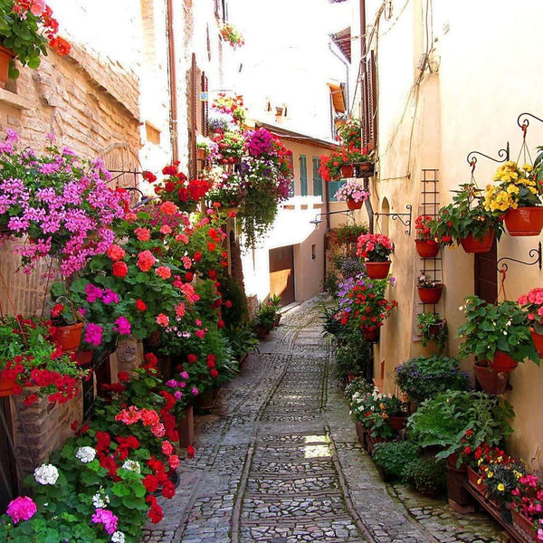 Floral Alley in Italy (square) Wall Art