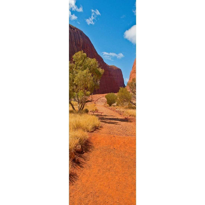 Into the Outback (long) Wall Art