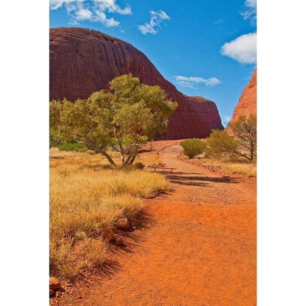 Into the Outback Wall Art