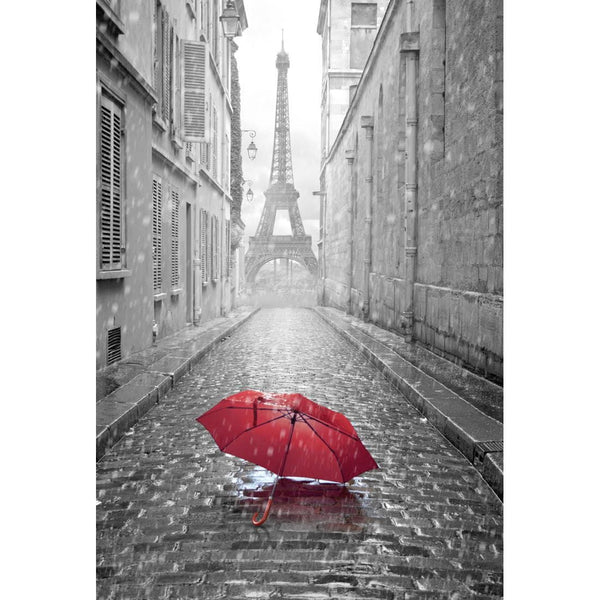 Lost Umbrella in Paris Wall Art