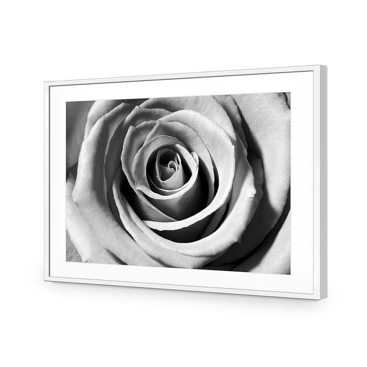 Black and White Rose Wall Art