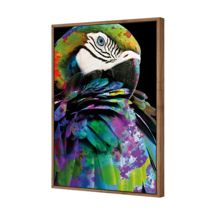 Coy Macaw Wall Art