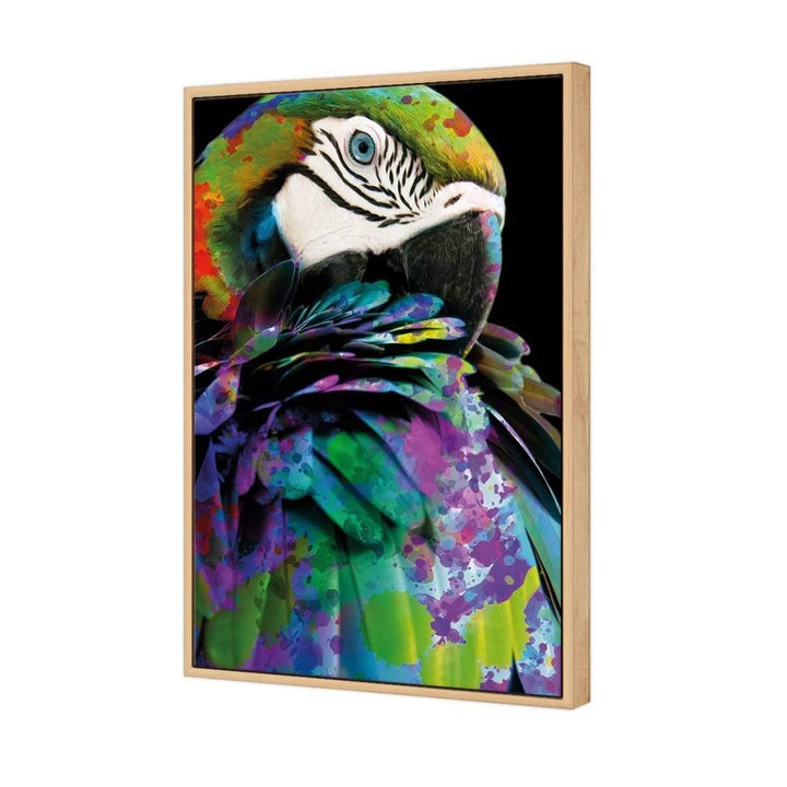 Coy Macaw Wall Art
