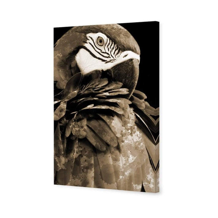 Coy Macaw, Sepia Wall Art