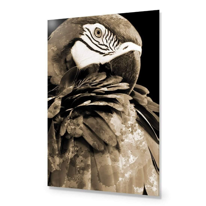 Coy Macaw, Sepia Wall Art