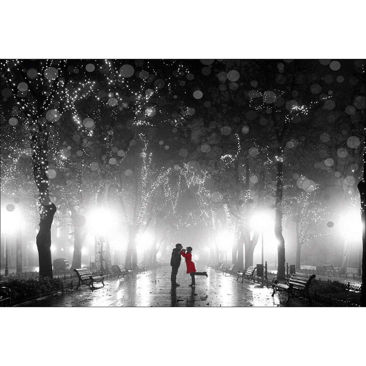 Park of Romance, Black and White Wall Art