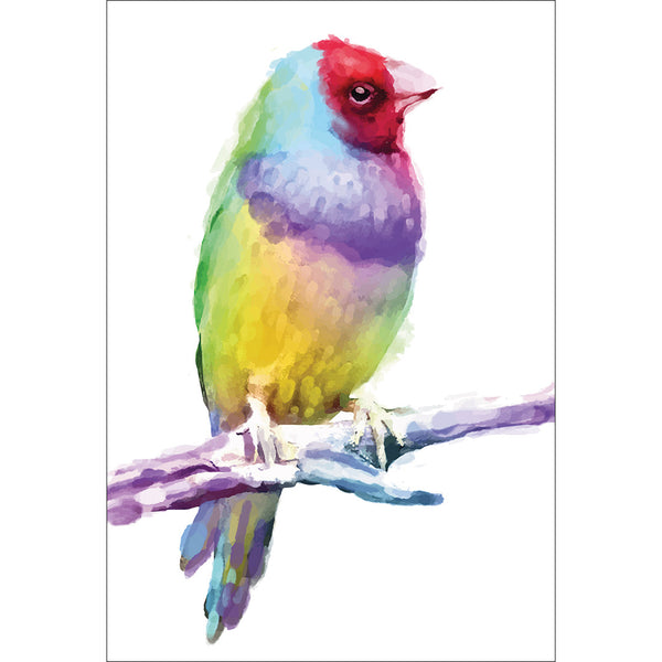 Watercolour Finch