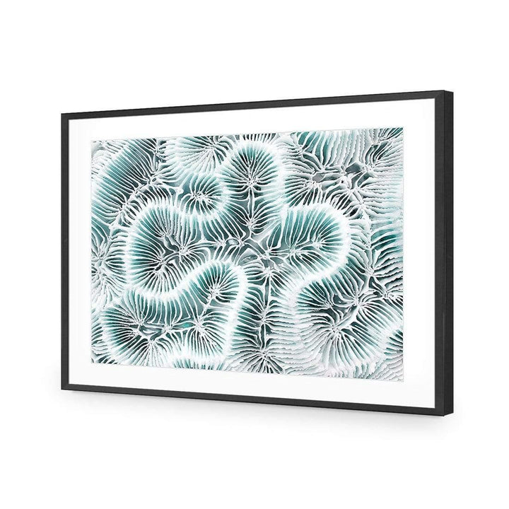 Coral Colony, Teal Wall Art