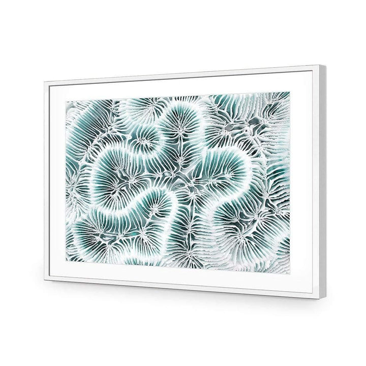 Coral Colony, Teal Wall Art