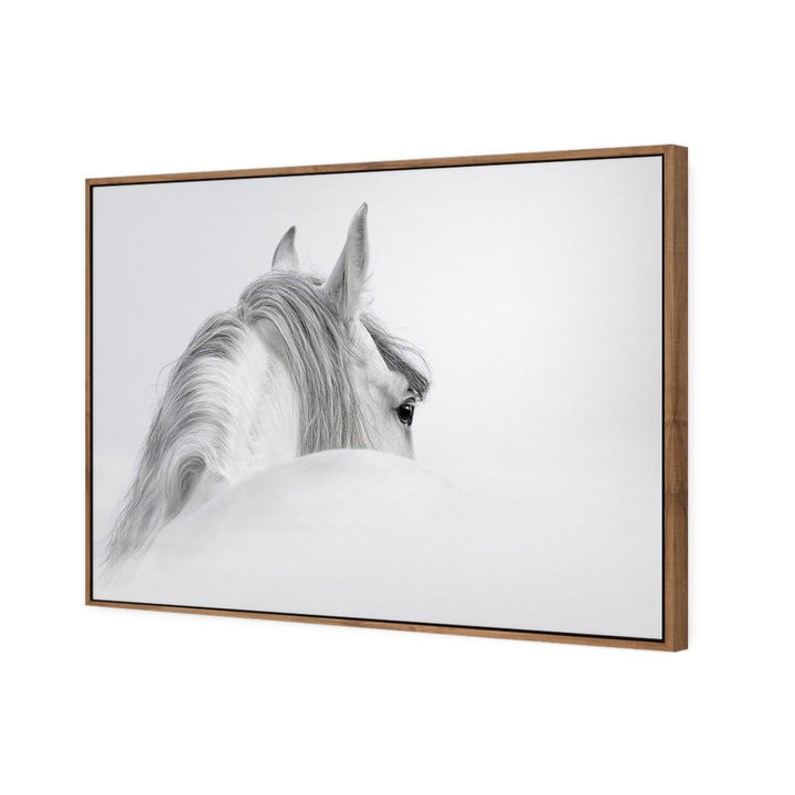 Andalusian Horse in the Mist Wall Art