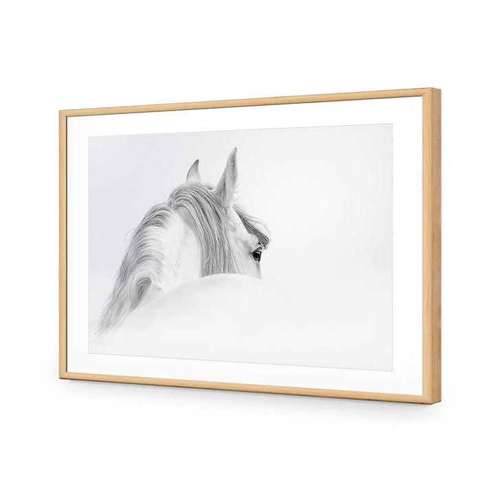 Andalusian Horse in the Mist Wall Art