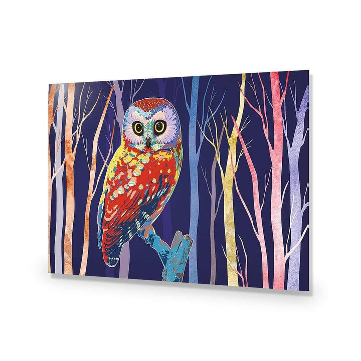 Bright Wise Owl Wall Art