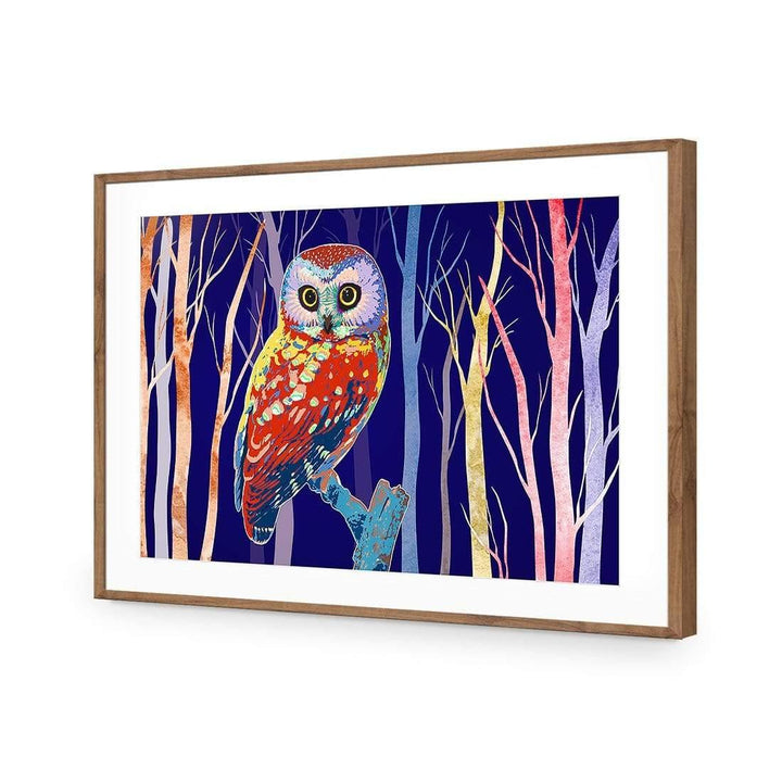 Bright Wise Owl Wall Art
