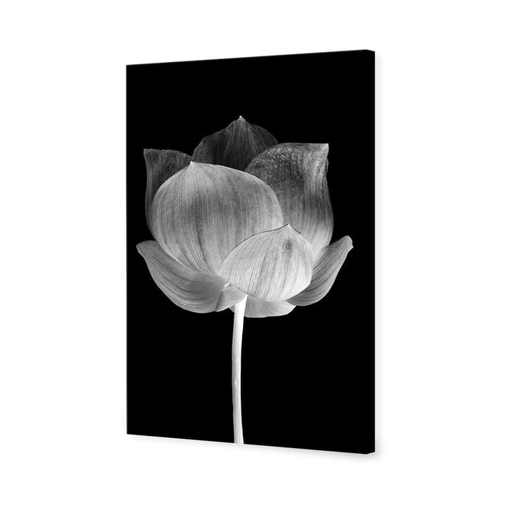 Black Lotus, Inverted Wall Art