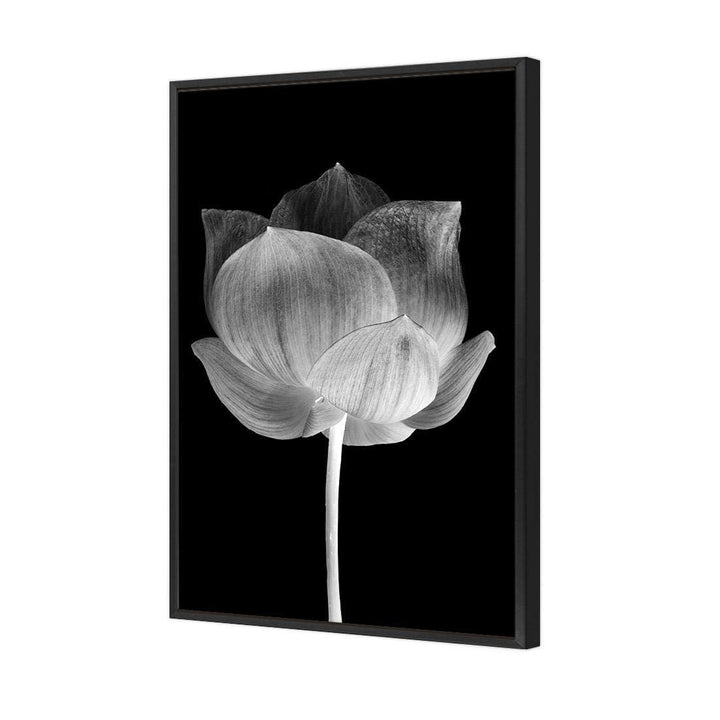 Black Lotus, Inverted Wall Art