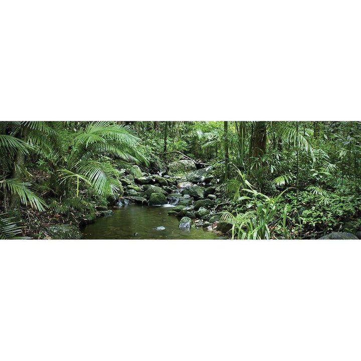 Mossman River In Daintree Rainforest (Long) Wall Art