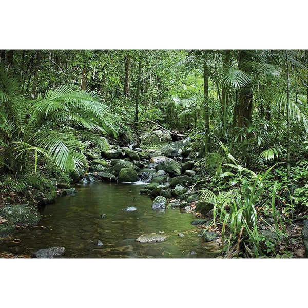 Mossman River In Daintree Rainforest Wall Art