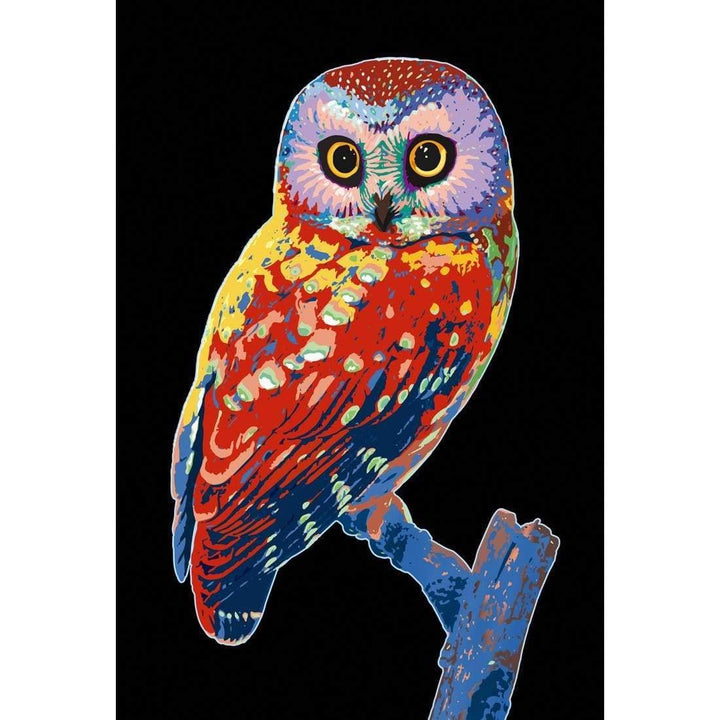 Wise Owl, Black Wall Art