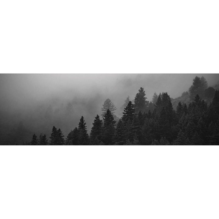 Forest Fog, Black and White (Long) Wall Art