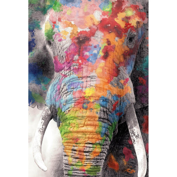 Rainbow Elephant Wall Art