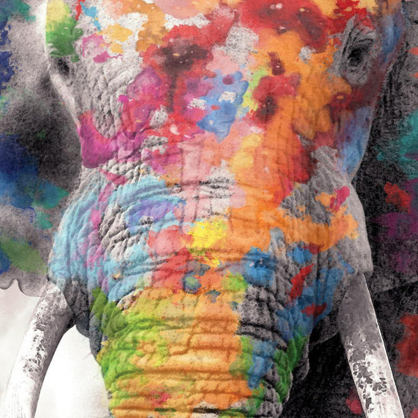 Rainbow Elephant (Square) Wall Art