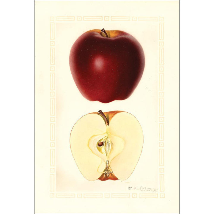 Watercolour Red Delicious Apple Wall Art
