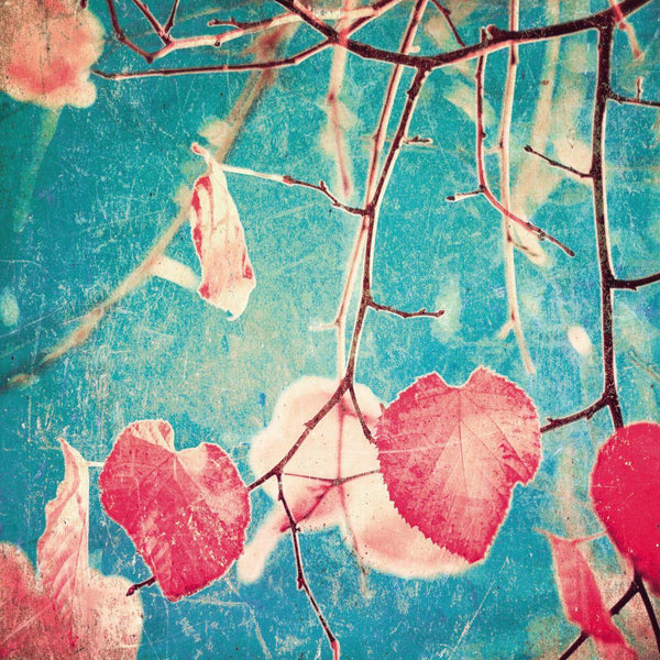Valentine Leaves (square) Wall Art