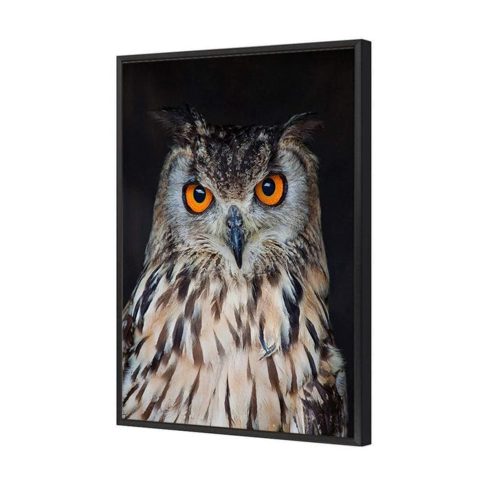 Owl Wisdom Wall Art