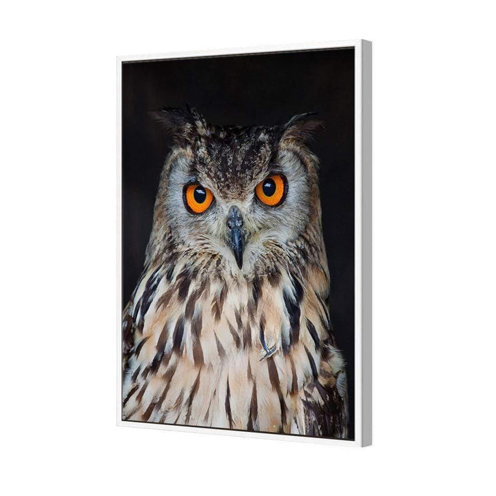 Owl Wisdom Wall Art