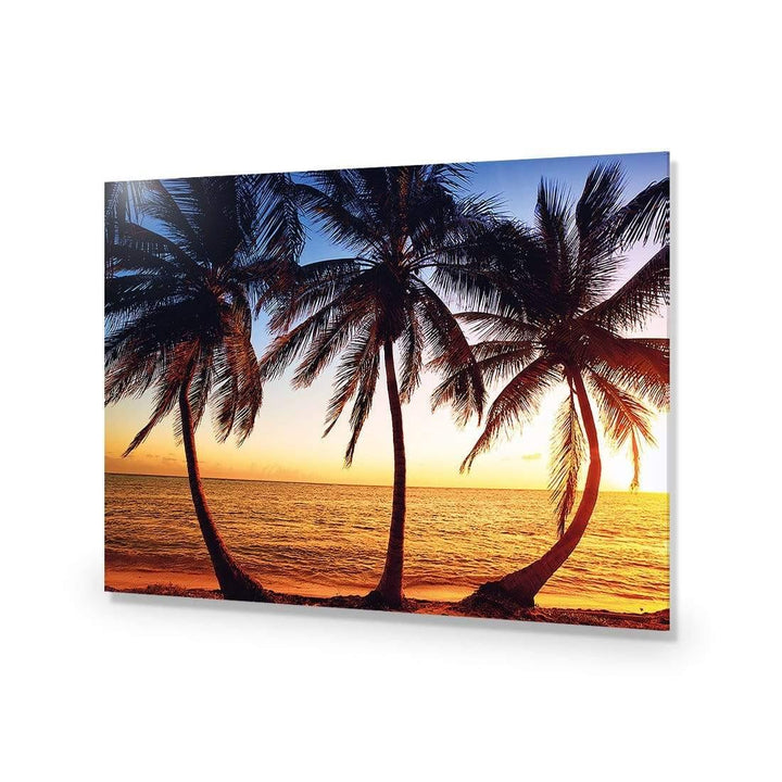 Coconut Palm Paradise Wall Art