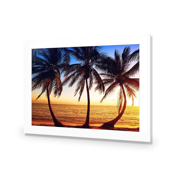 Coconut Palm Paradise Wall Art