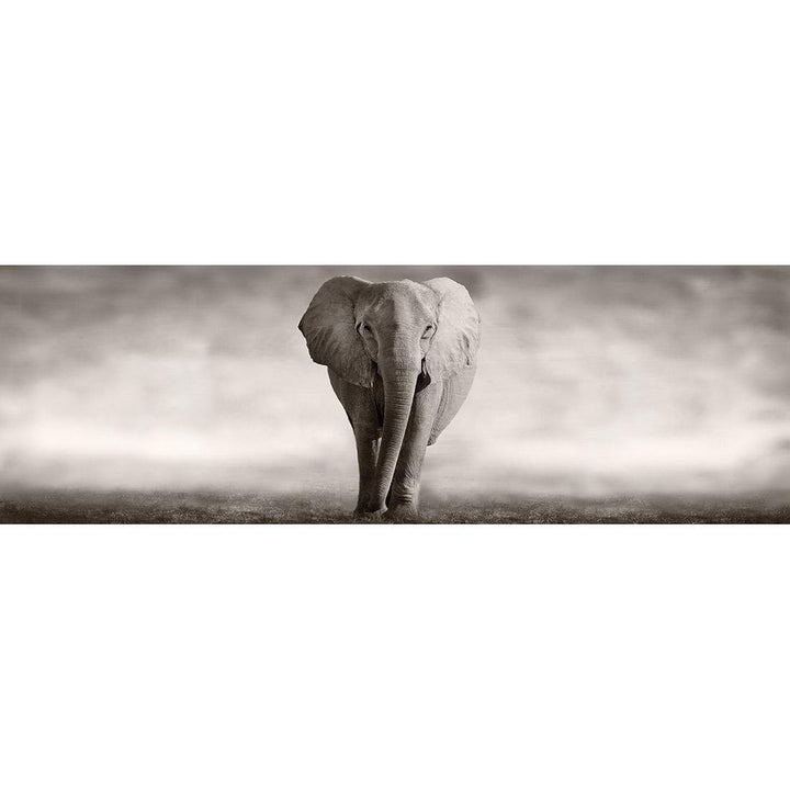 Elephant Determination (Long) Wall Art