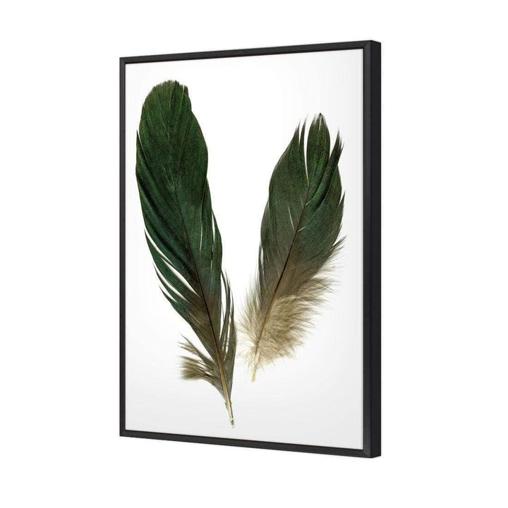 Feather Floaters Wall Art