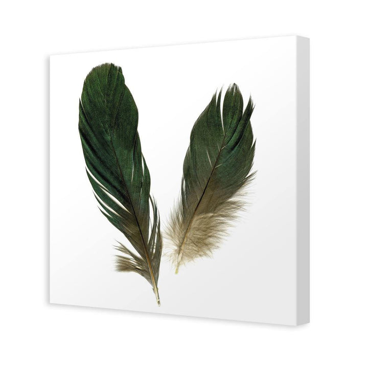 Feather Floaters (Square) Wall Art