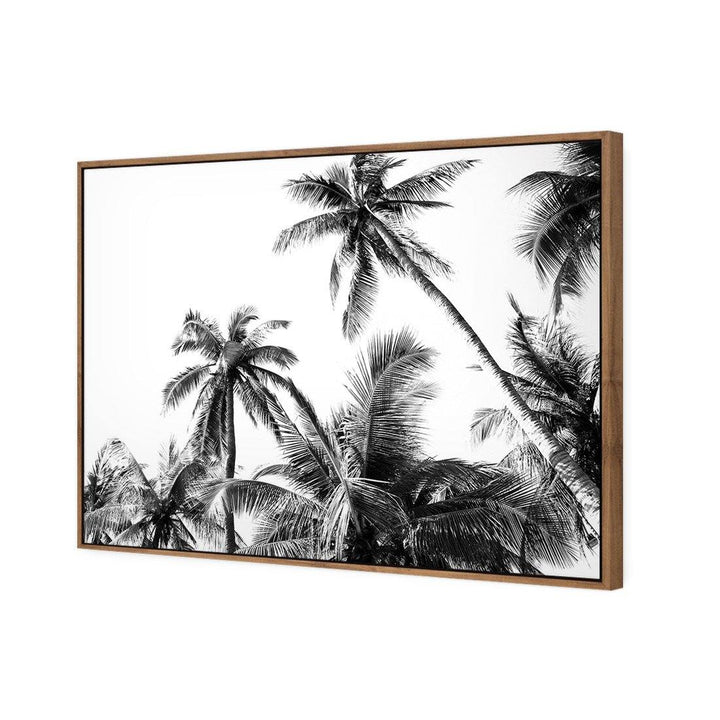 Palm Projections Wall Art