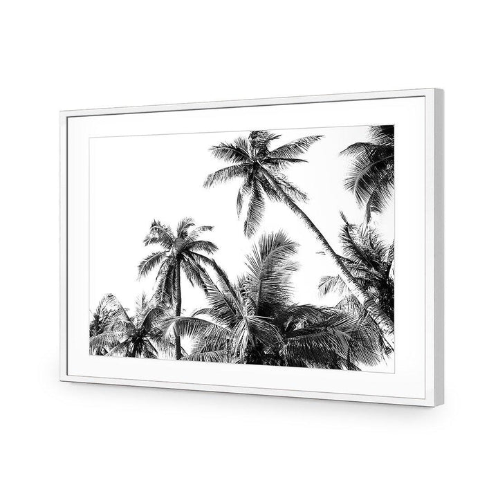 Palm Projections Wall Art