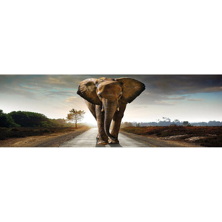 Determined Elephant (Long) Wall Art