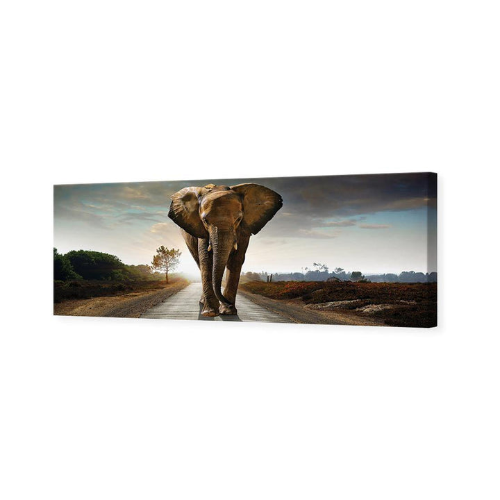 Determined Elephant (Long) Wall Art