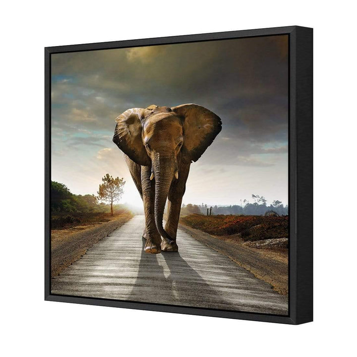 Determined Elephant (Square) Wall Art