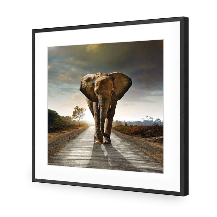 Determined Elephant (Square) Wall Art