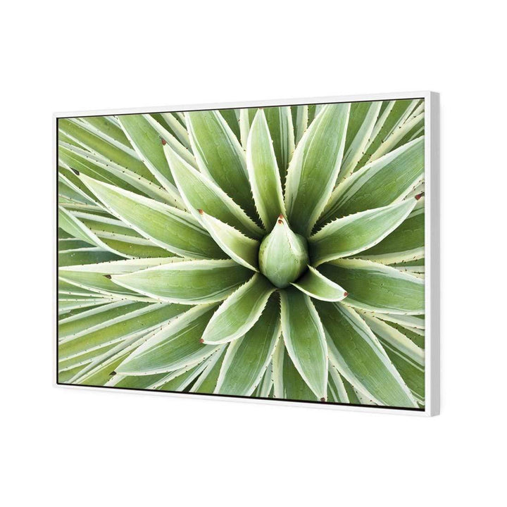 Prickly Perfect (Landscape) Wall Art