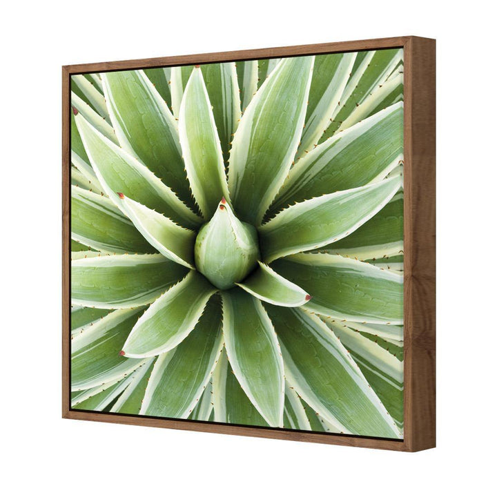 Prickly Perfect (Square) Wall Art