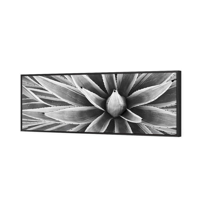 Prickly Perfect, Black and White (Long) Wall Art